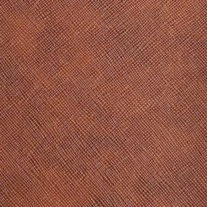 گالینگور پرنیا 810